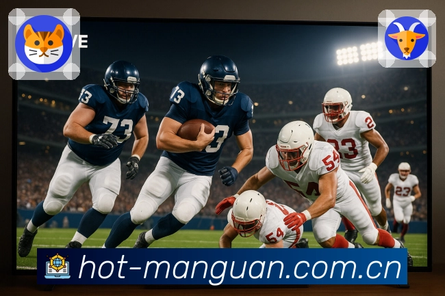 满冠体育 Sports 官方视觉图